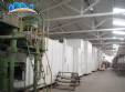 L�nea industrial para la producci�n de espaguetis tallarines de pastas largas Braibanti